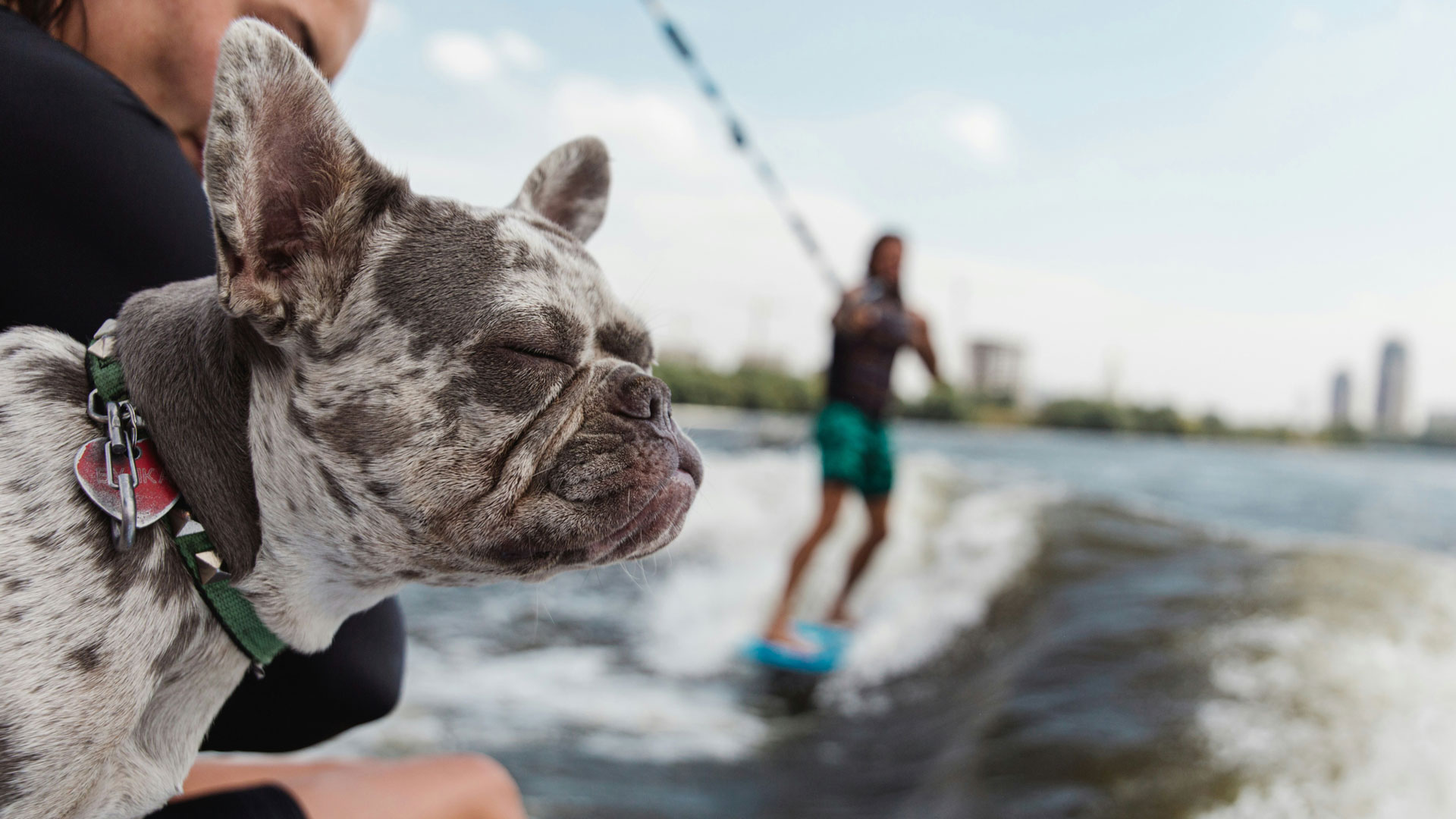 Que faire à Arcachon l’été ? 10 idées d’activités nautiques incontournables