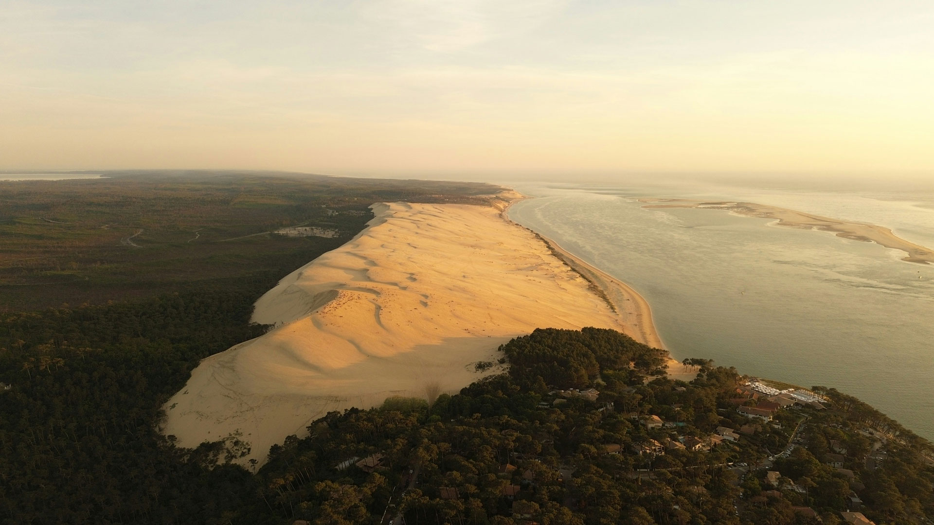 La dune du pyla vue du ciel avec ses couleurs dorée du coucher de soleil