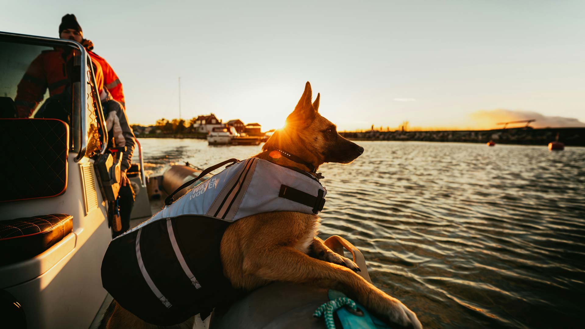Chien à bord d’un bateau naviguant sur le Bassin d’Arcachon pendant une balade en mer